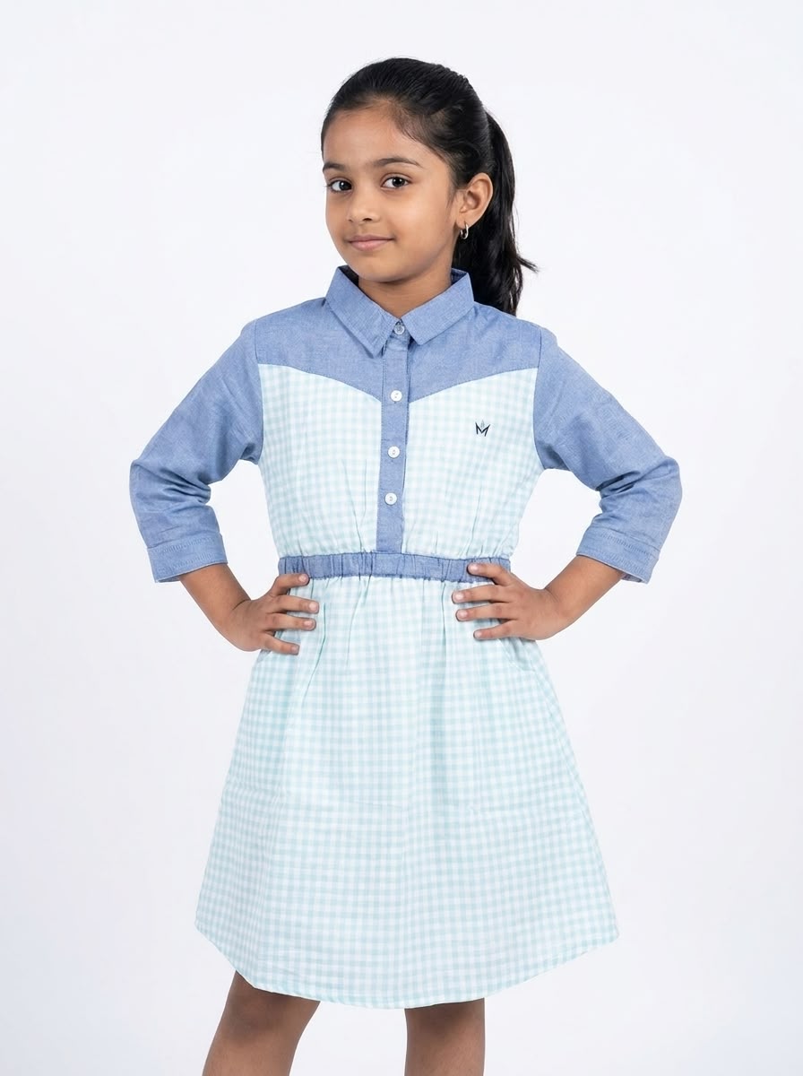 Two-Tone Utility-Style Dress