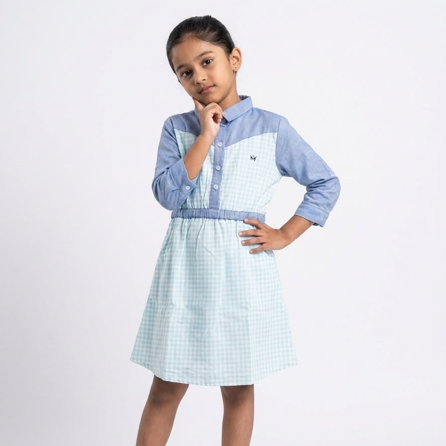 Two-Tone Utility Style Dress
