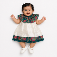 Newborn Ruffle Collar Dress - KinderMox