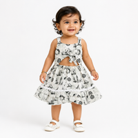 A-Line Fit & Flare Frock